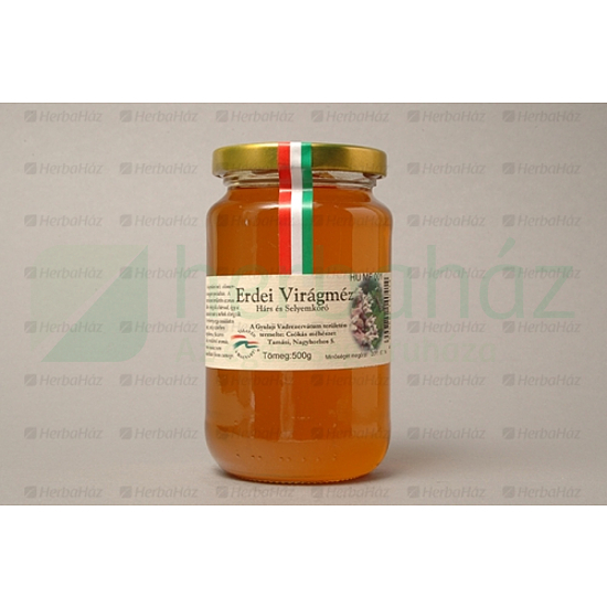 vitaminok a látáshoz a szem számára