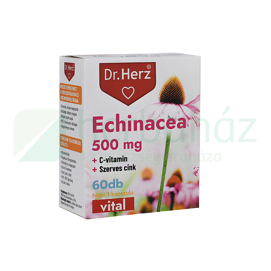 DR. HERZ ECHINACEA 500 MG + C-VITAMIN + SZERVES CINK 60DB