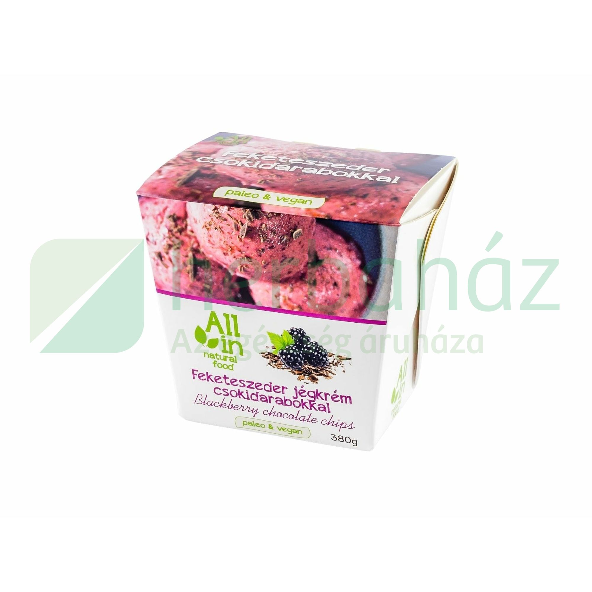 ALL IN NATURAL FOOD PALEO ÉS VEGÁN FEKETESZEDER-CSOKOLÁDÉ JÉGKRÉM 380G [F]