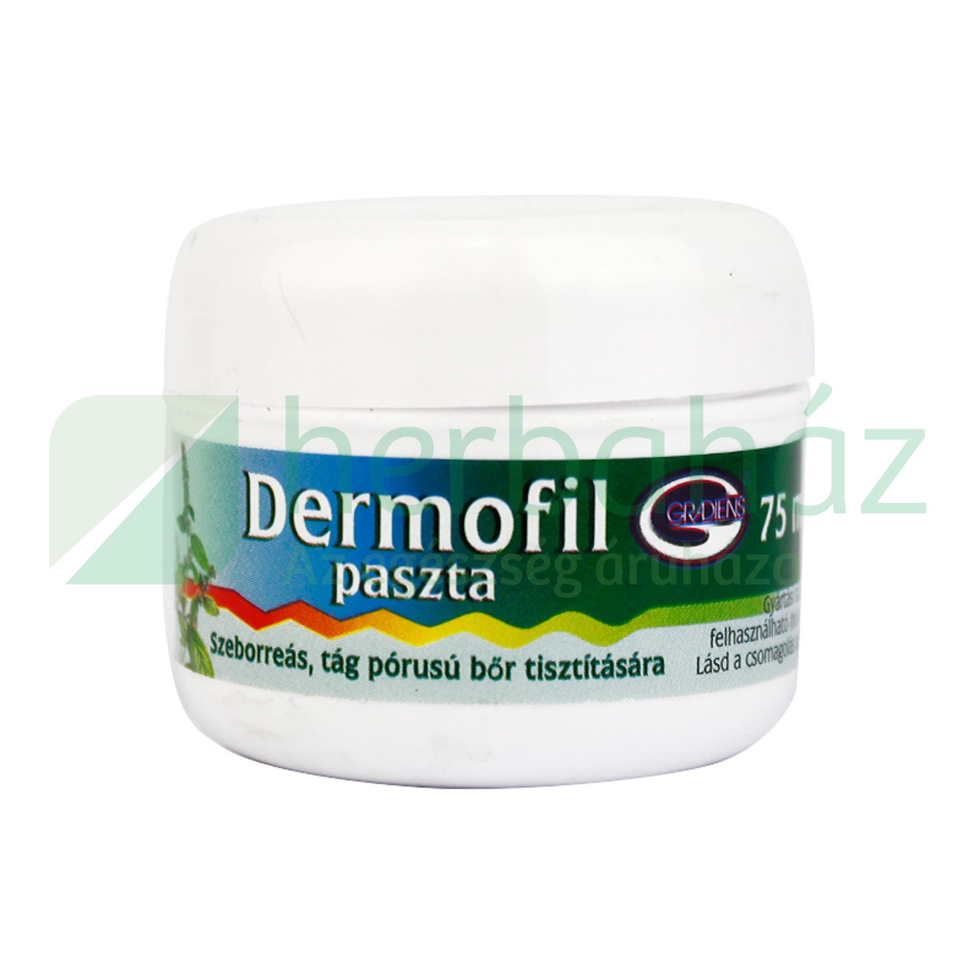 DERMOFIL PASZTA 75ML