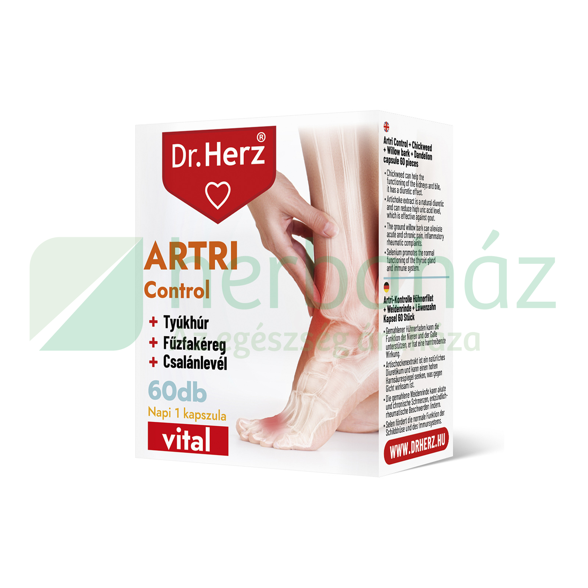 DR. HERZ ARTRI CONTROL KAPSZULA 60DB