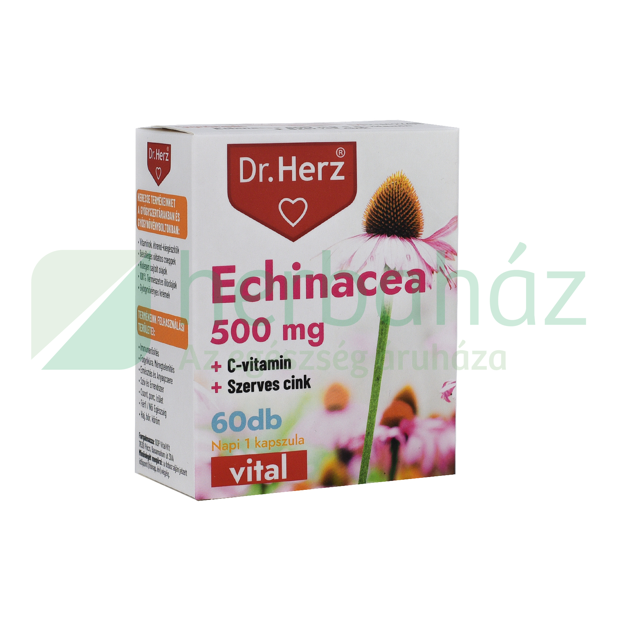 DR. HERZ ECHINACEA 500 MG + C-VITAMIN + SZERVES CINK 60DB