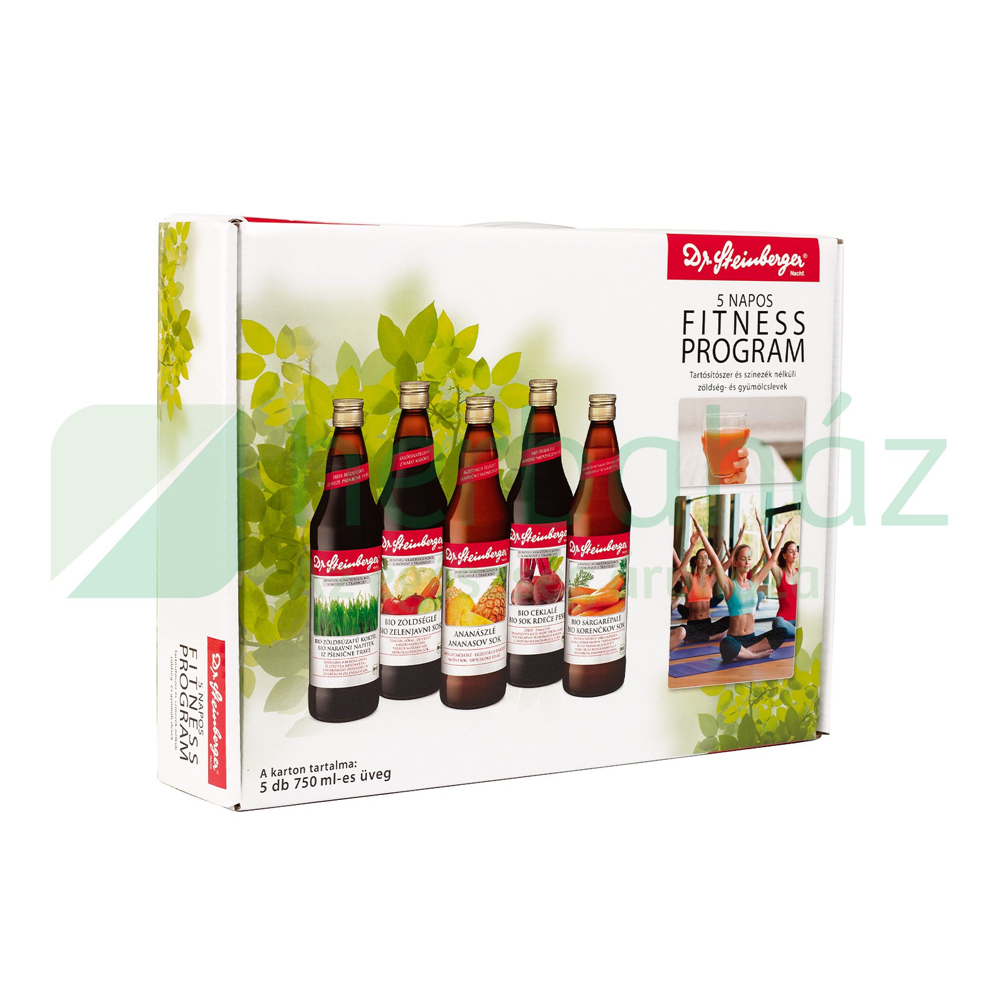 DR.STEINBERGER 5 NAPOS FITNESS PROGRAM CSOMAG 3750ML DRS+5x50FT BETÉTDÍJ
