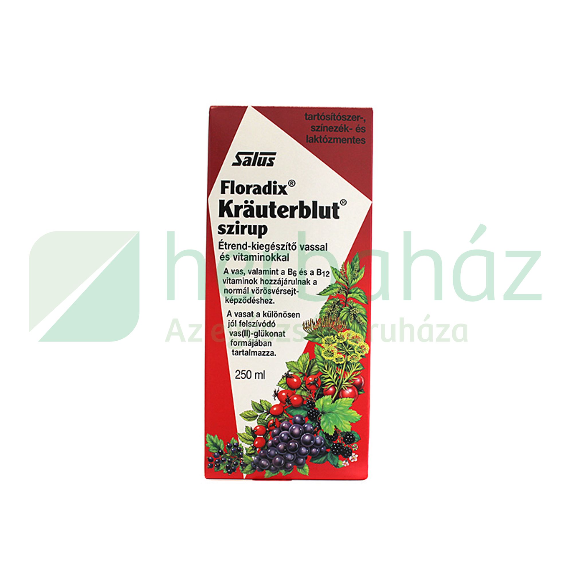 SALUS FLORADIX KRAUTERBLUT SZIRUP 250ML