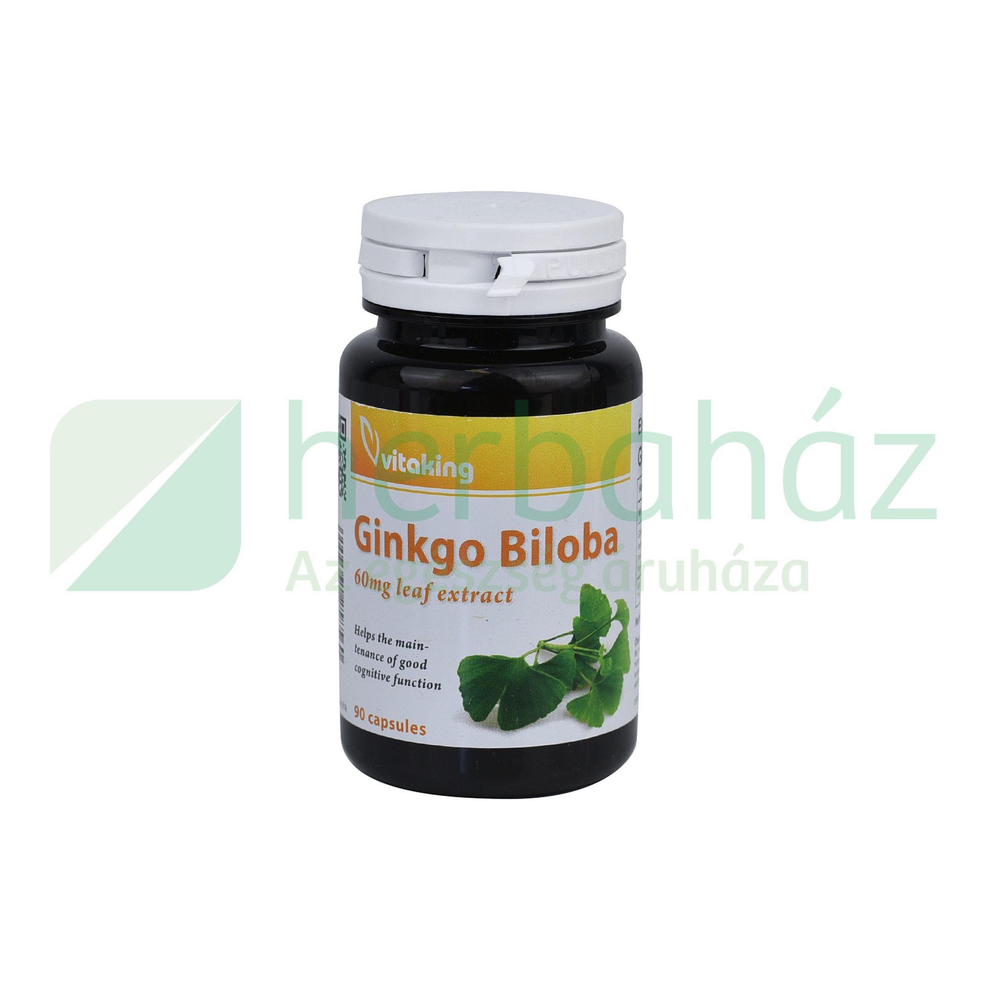 VITAKING GINKGO BILOBA 60MG LEAF EXTRACT 90DB