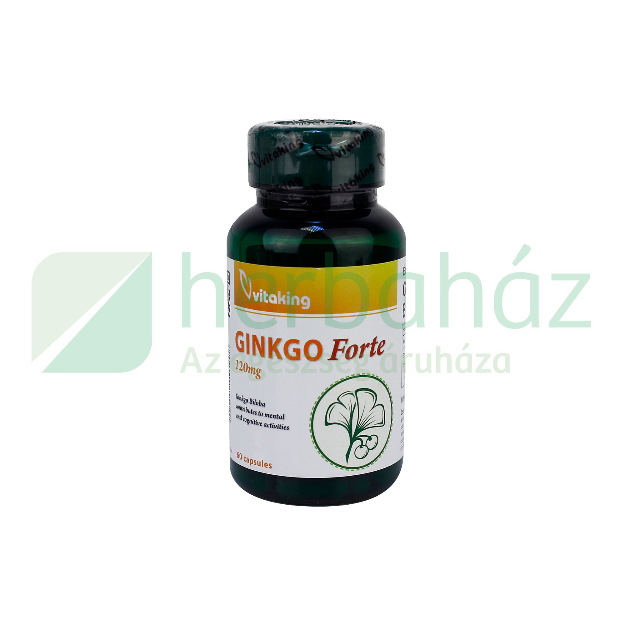 VITAKING GINKGO FORTE 120MG 60DB