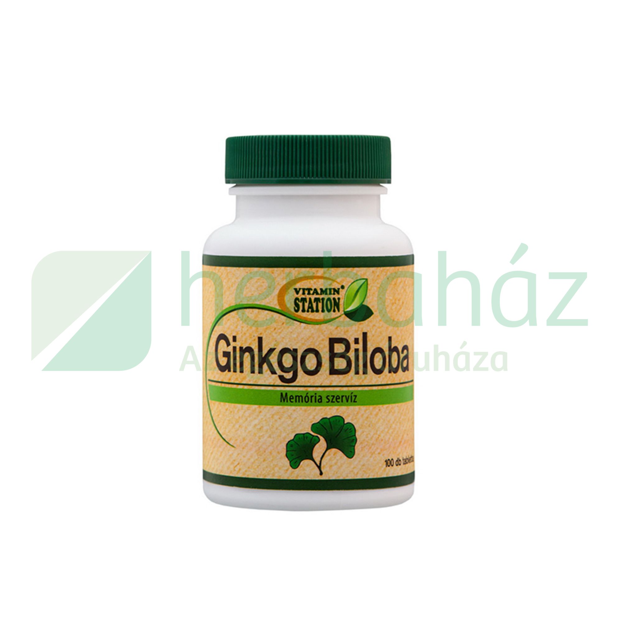 VITAMIN STATION GINKGO BILOBA TABLETTA 100DB