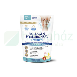 INTERHERB KOLLAGÉN&HYALURONSAV PORC-ÍZÜLET ITALPOR PROTECT EPER-BANÁN ÍZŰ 290G