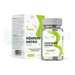 NETAMIN MÉHPEMPŐ MÁTRIX + PROPOLISZ ÉS FERMENTÁLT GINZENG KAPSZULA 60DB