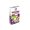 1X1 VITAMIN VALERIANA REMAX FILMTABLETTA  56DB