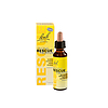 BACH RESCUE DAY CSEPP ALKOHOLMENTES 20ML