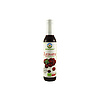 BIO BIOFOOD TŐZEGÁFONYA SZIRUP 250ML