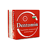 DENTOMIN FOGPOR NATÚR 95G