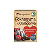 DR.CHEN FOKHAGYMA ÉS GALAGONYA KAPSZULA 105DB