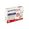 GYNOPHILUS RESTORE 2DB