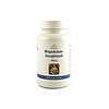 SUNSALUTE MAGNÉZIUM-BISZGLICINÁT 500MG KAPSZULA 90DB