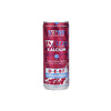 SWISS LABORATORY KALCIUM + D3 MULTIVITAMIN ITAL 250ML